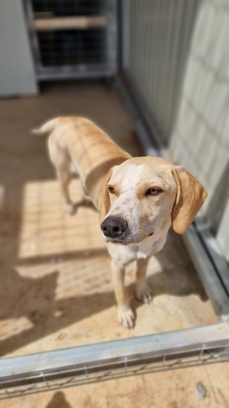 Bonnie - Cyprus